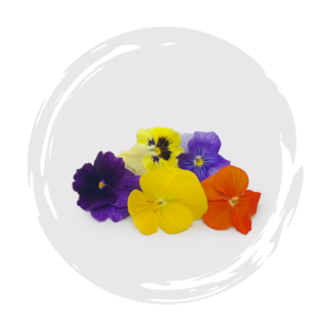 Mixed Viola