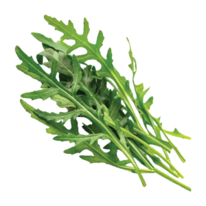 Arugula