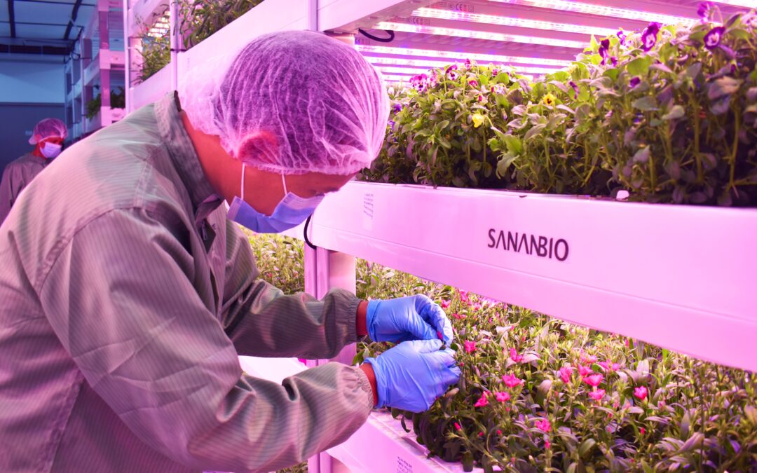 DLB’s Sustainable Vision: Growing More with Less