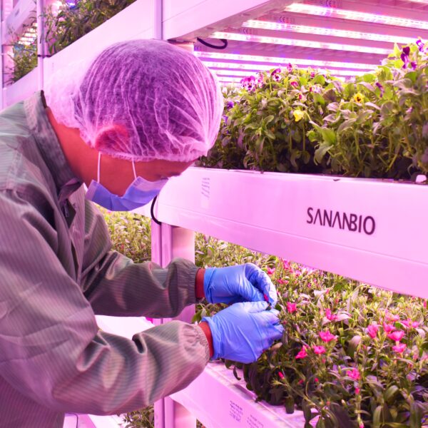 DLB’s Sustainable Vision: Growing More with Less