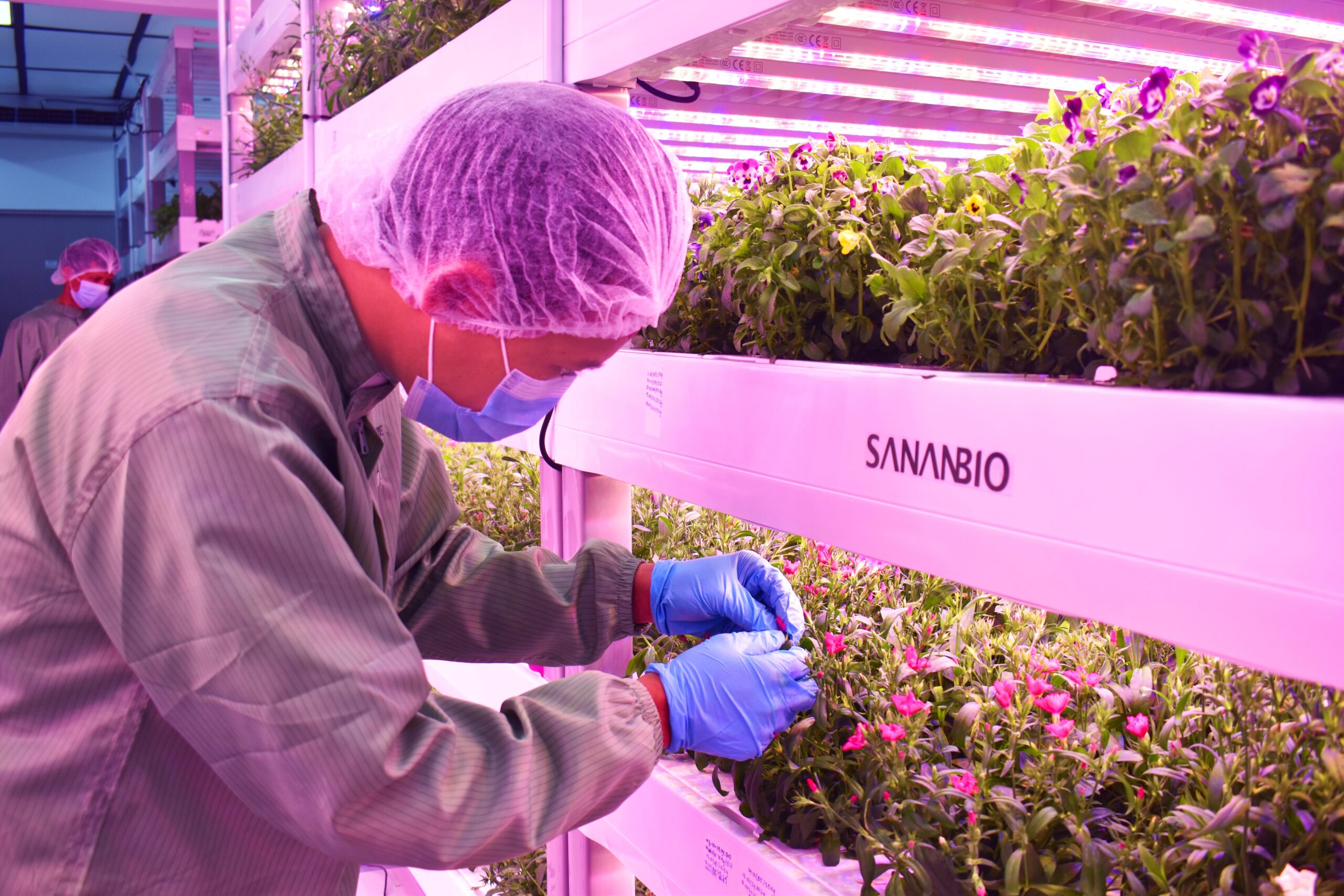 DLB’s Sustainable Vision: Growing More with Less