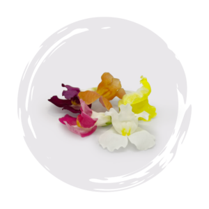 Snapdragon Snaptini Mix