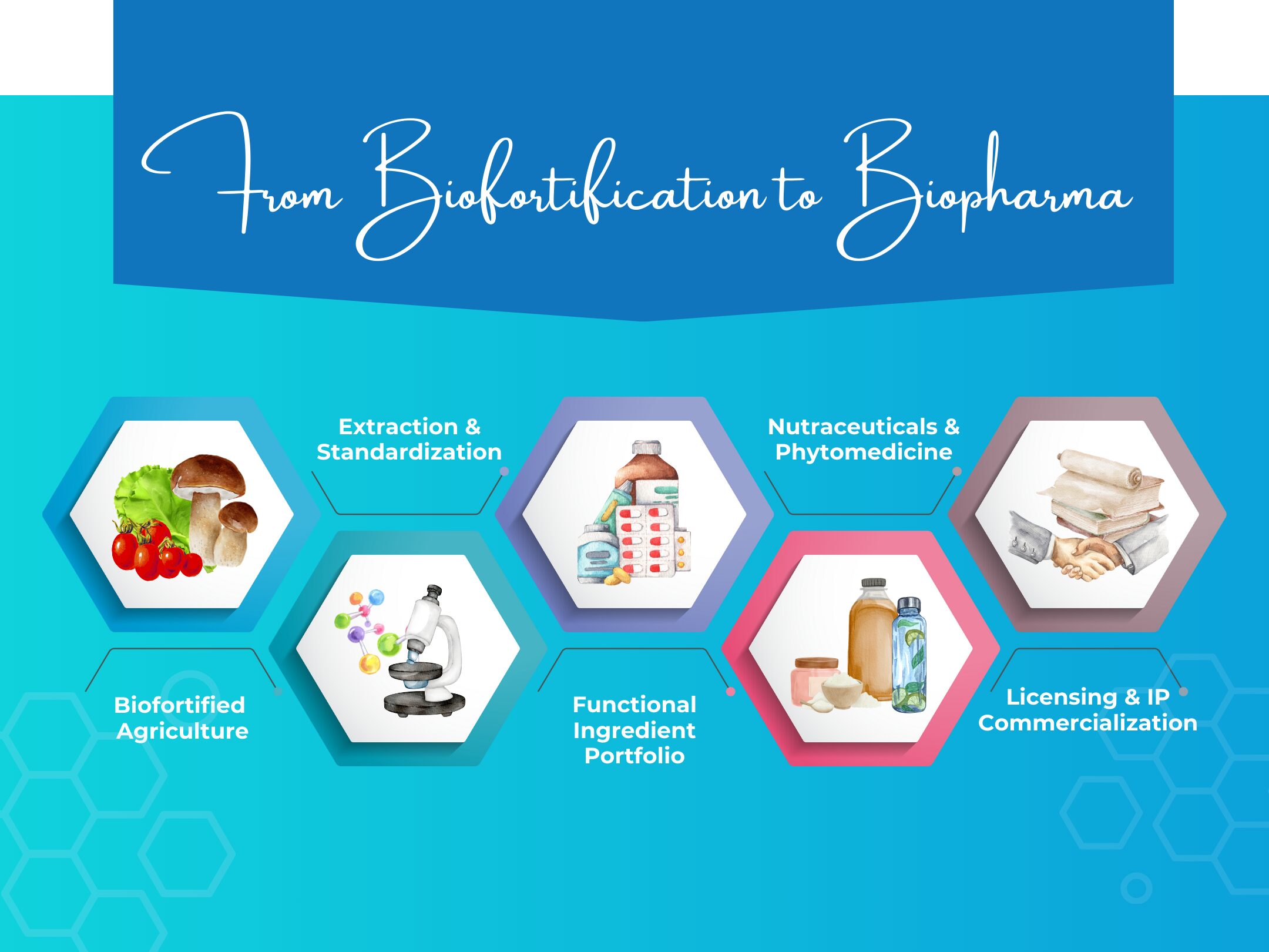Phytomedicine: Next Frontier in Health and Agriculture
