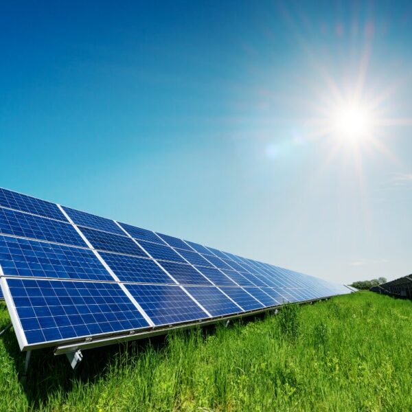 Vision Powers a Greener Future