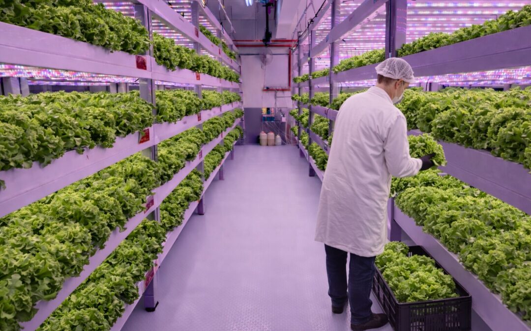 Precision Farming for Safer, Pesticide-Free Greens